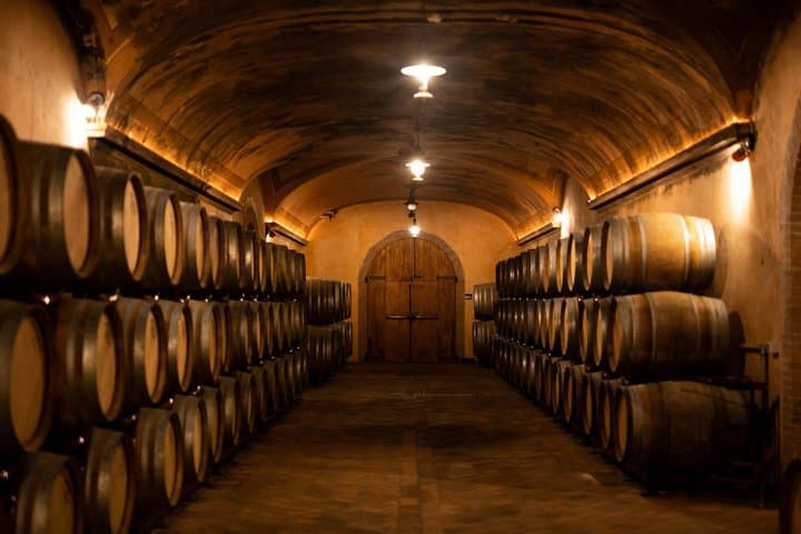 Wine tasting in Franciacorta with boat ride on Lake Iseo