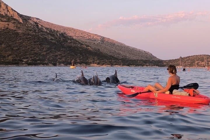 Paddle with Dolphins Kayak Tour and Aperitif