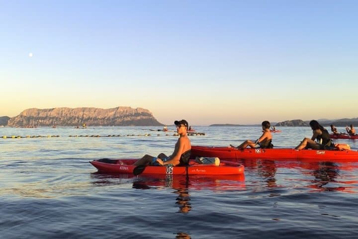 Paddle with Dolphins Kayak Tour and Aperitif