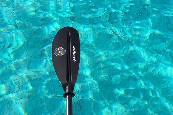Paddle with Dolphins Kayak Tour and Aperitif