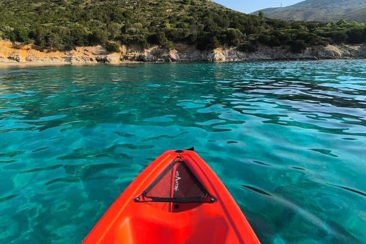 Paddle with Dolphins Kayak Tour and Aperitif