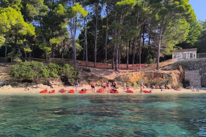 Paddle with Dolphins Kayak Tour and Aperitif