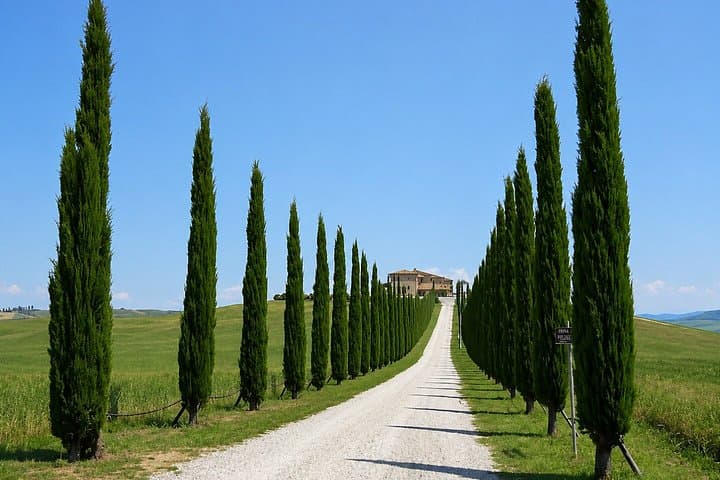 Private Tuscany, Siena & San Gimignano Trip from Rome