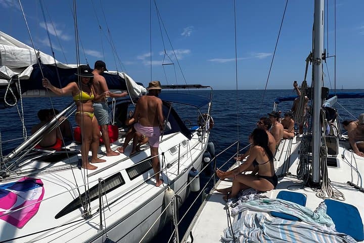 Bari sailing cruise in search of dolphins