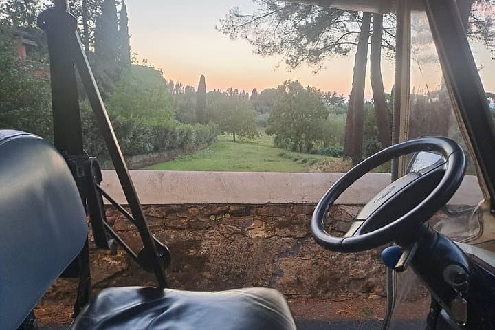 Private tour of Florence in golf cart with authorized local guide