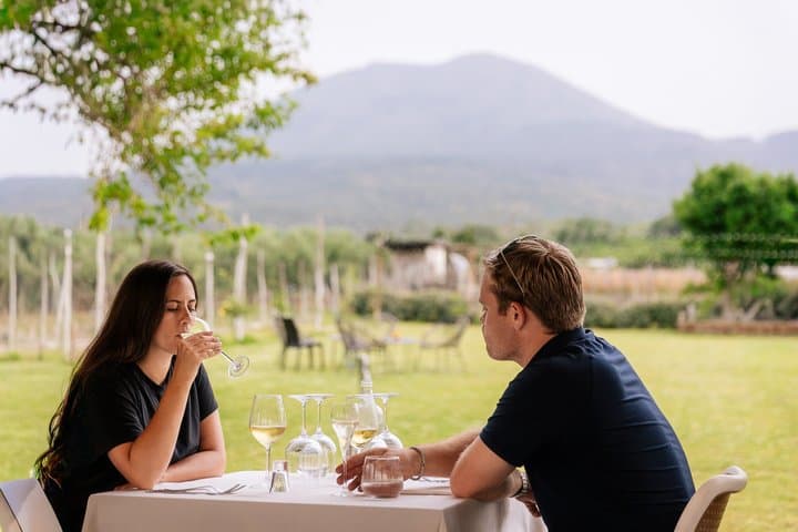 Superior Wine Tasting with Lunch on the slopes of Mt. Vesuvius
