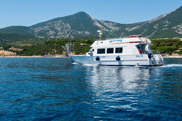 Cala Gonone: Boat trip to Bue Marino Cave