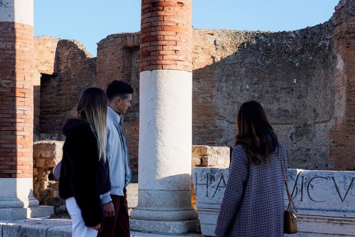 From Sorrento: Pompeii Skip-the-Line tkt, Train Tkt & Guided Tour