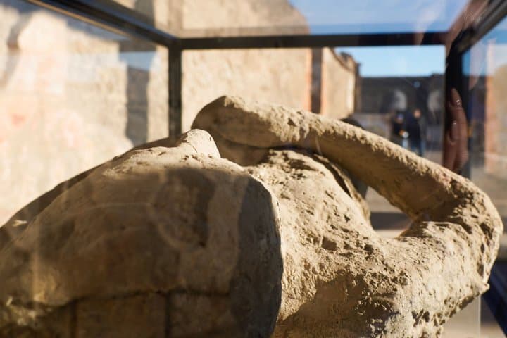 From Sorrento: Pompeii Skip-the-Line tkt, Train Tkt & Guided Tour