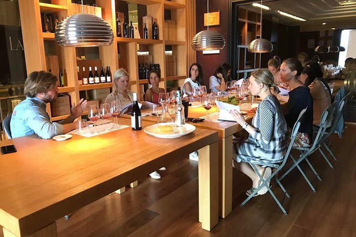Lake Garda: Wine Tour & Tasting Experience in Bardolino area
