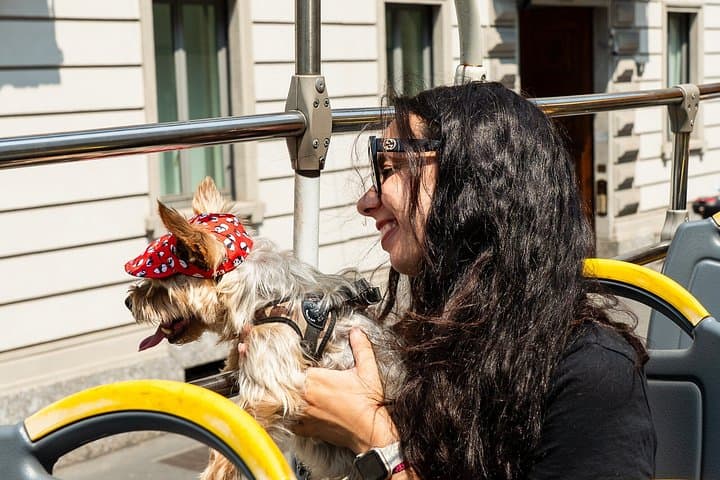 24-Hour "Gray Line" Milan Hop-On Hop-Off Tour with Audio Guide