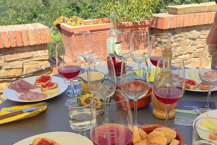 Wine Tasting of Chianti Olive Oil and Winery Visit