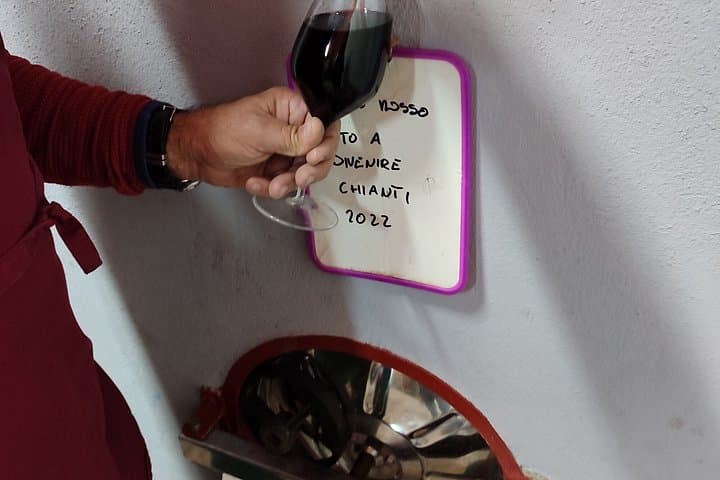 Wine Tasting of Chianti Olive Oil and Winery Visit