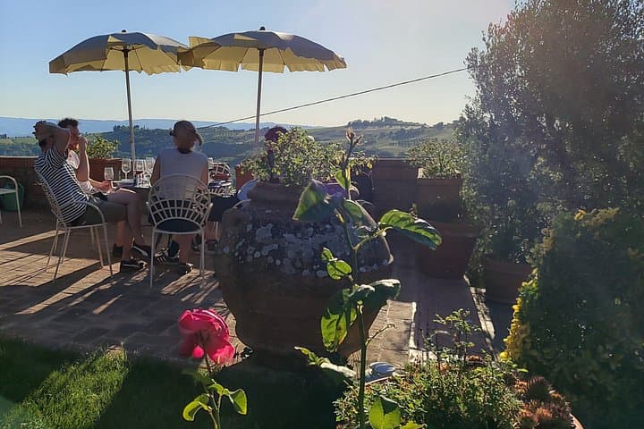 Wine Tasting of Chianti Olive Oil and Winery Visit