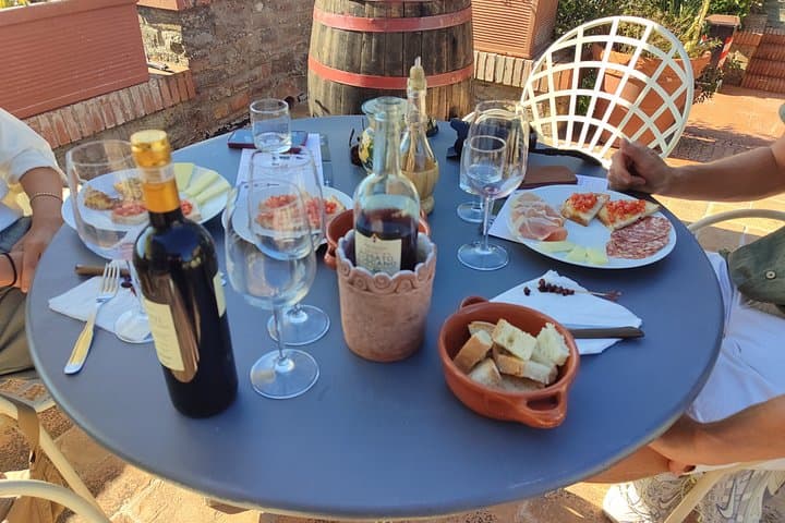 Wine Tasting of Chianti Olive Oil and Winery Visit