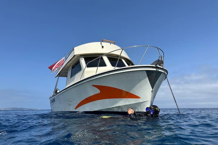 First Dive in Sardinia: La Maddalena Archipelago