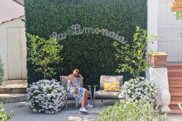 Lemon Grove Tour