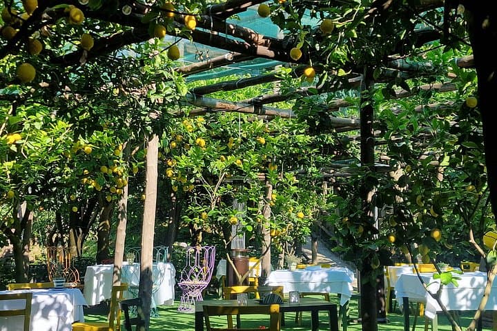 Lemon Grove Tour