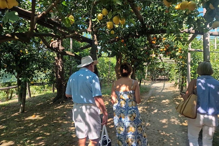 Lemon Grove Tour