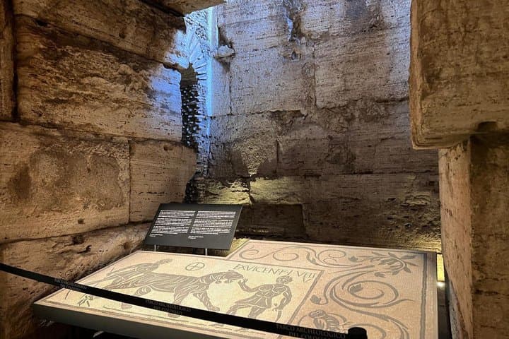 Rome Colosseum by Night Private Guided Tour