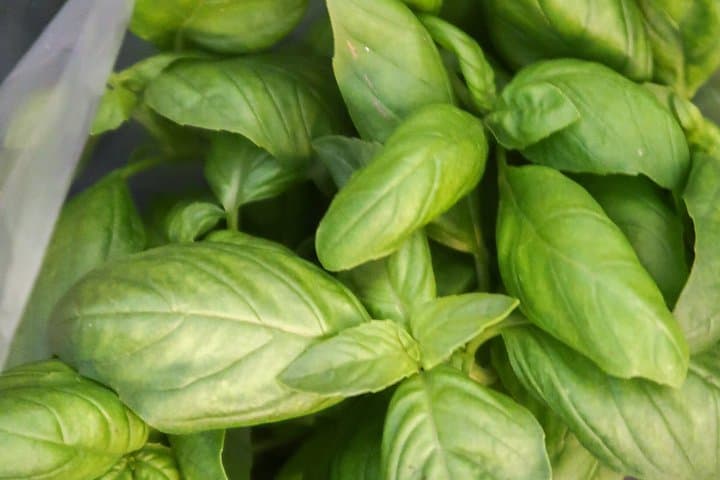 Pesto and Pasta Class in Vernazza, Cinque Terre