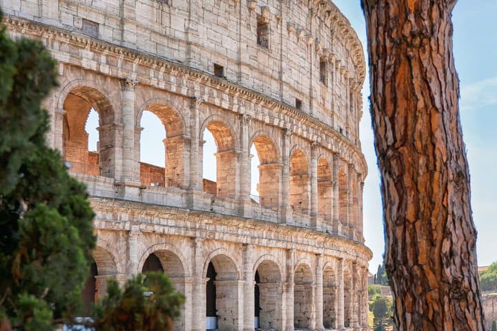 Colosseum, Roman Forum & Palatine Hill–Skip-the-Line Entry Ticket