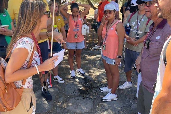 Colosseum walking tour : Exterior visit + Colosseum ticket option