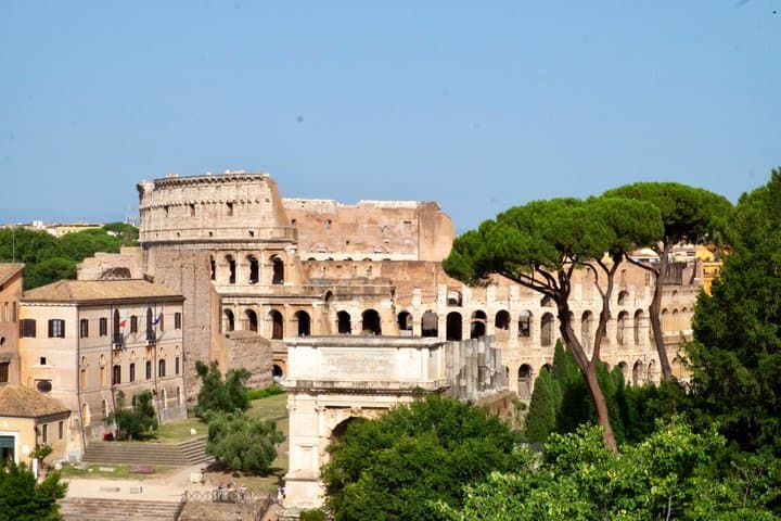 Guided Group Tour of Colosseum, Palatine Hill and Roman Forum