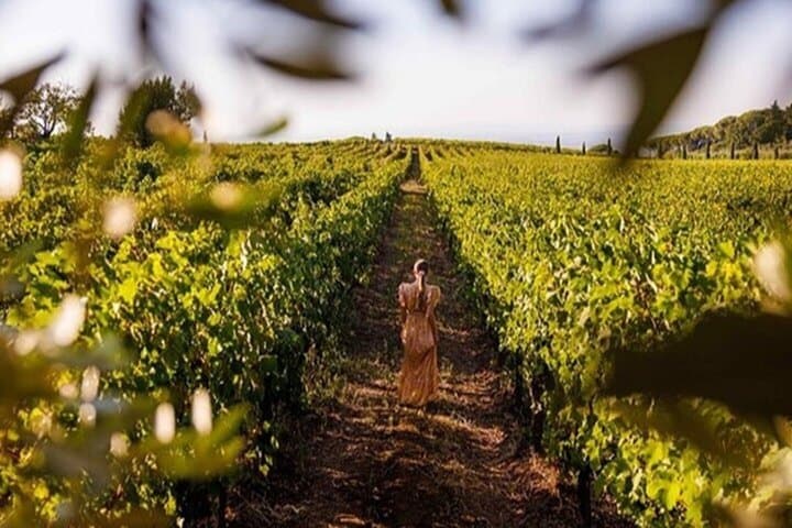 Rome Countryside Vineyards and Wine Tasting - Private Tour