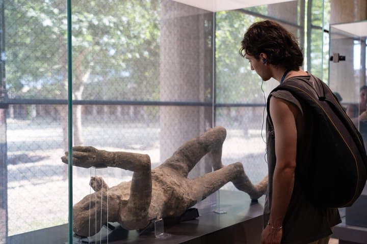 Pompeii Archaeological Park Skip the Line Ticket and Audio Guide