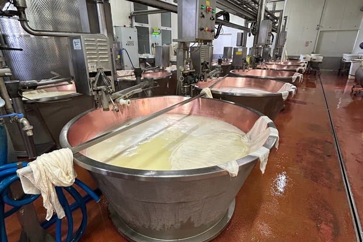 Food Valley Tour: Parmigiano, Balsamic, Wine, lunch, transport