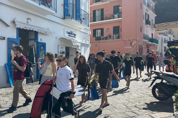Sorrento Morning RIB Snorkel: 2 Spots with a Marine Biologist