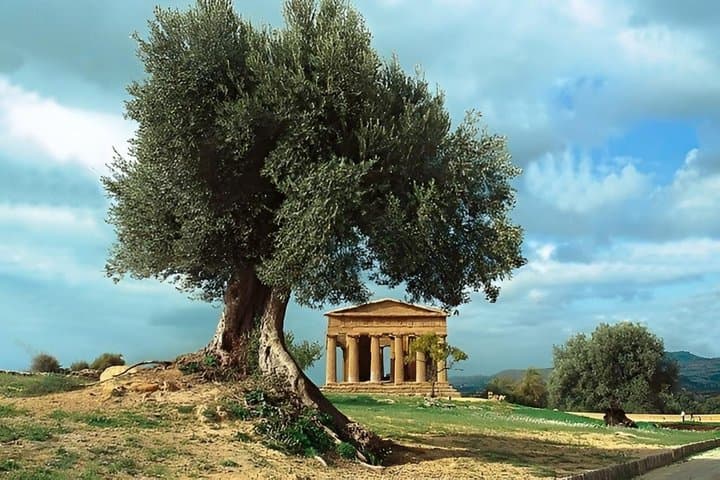 Agrigento and Piazza Armerina Private Tour from Palermo