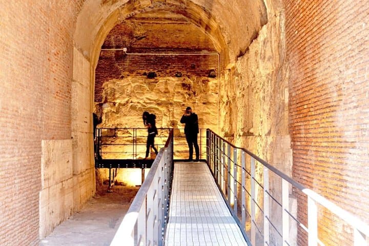 Colosseum & Forum Private Tour + Optional Arena or Underground