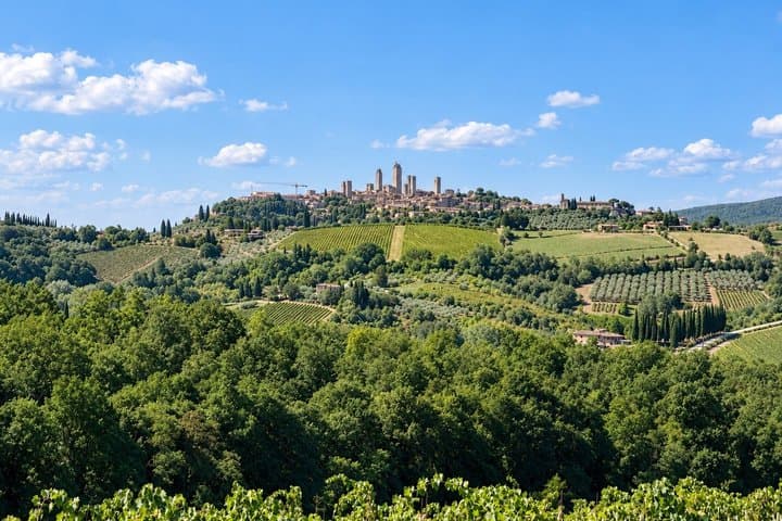 Ultimate Tuscany Wine Tour: 3 Wineries & lots of Tastings