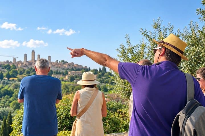 Ultimate Tuscany Wine Tour: 3 Wineries & lots of Tastings