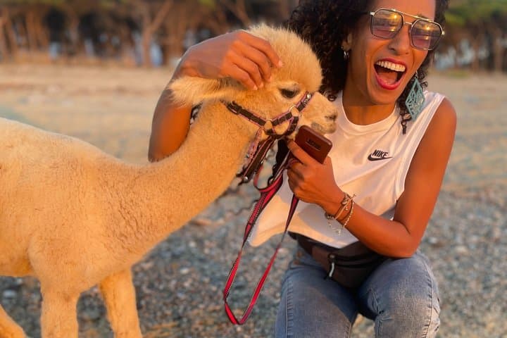 Calabrian Alpacas Sunset Beach Experiences Pizzo VV AlpacSelfies