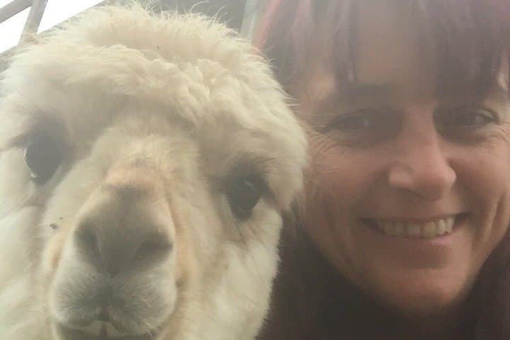 Calabrian Alpacas Sunset Beach Experiences Pizzo VV AlpacSelfies