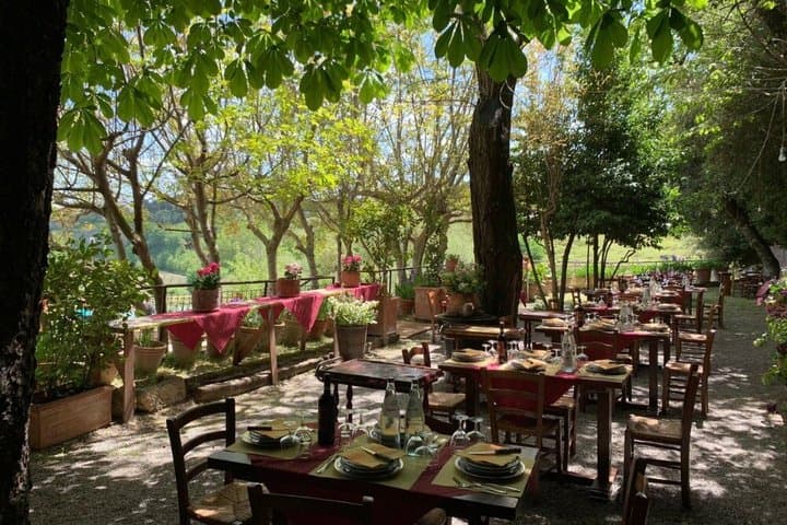 Rome: Tuscany Day Trip with Vineyard Lunch and Wine Tasting