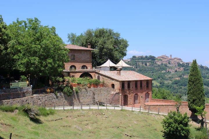Rome: Tuscany Day Trip with Vineyard Lunch and Wine Tasting