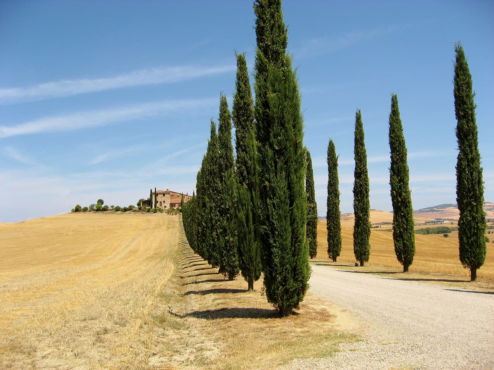 Cypress-lined country road through Val d’Orcia, Tuscany
