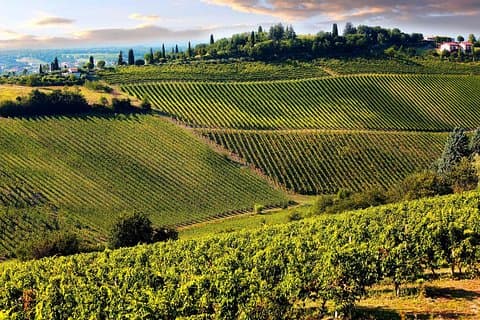 tuscany hills