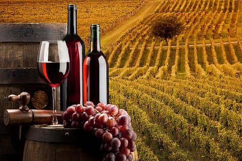 chianti and san gimignano tour