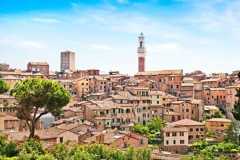 Siena tour from Pisa