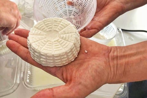 Cheesemaker for a day & visit to the dairy