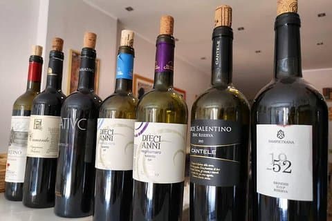 Wine and Food Tasting Experience in Lecce old town