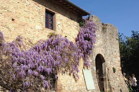 Exclusive Private tour To Siena and San Gimignano