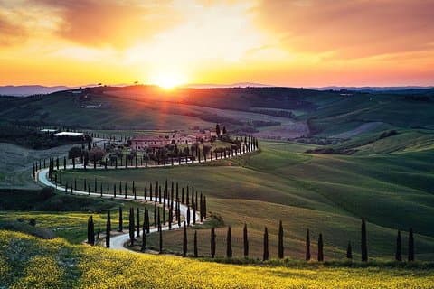 Tuscany Wine Tasting and Lunch Private Day Trip from Rome