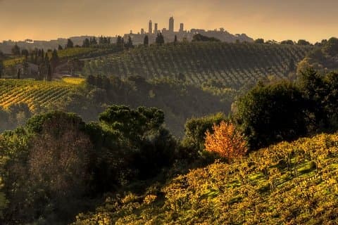 Chianti and San Gimignano Sunset Tour