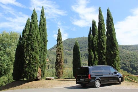 Tasting in a Tuscan Vineyard with transfer from Lucca